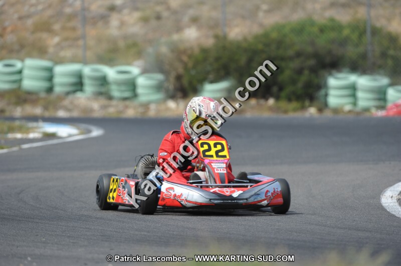 DSC (3085).JPG
